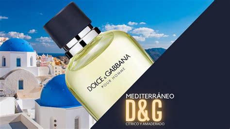 dolce gabbana pour homme reseña|Dolce & Gabbana pour homme review.